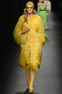 Gucci RTW Fall 2016