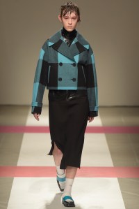 Iceberg RTW Fall 2016