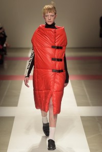 Iceberg RTW Fall 2016