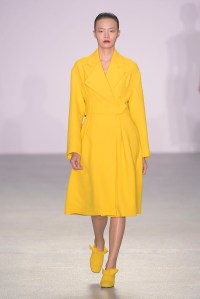 J JS Lee RTW Fall 2016
