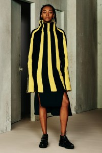 Ji Oh RTW Fall 2016