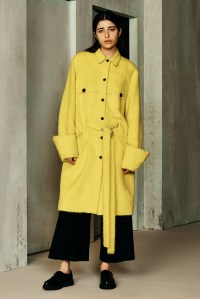 Ji Oh RTW Fall 2016