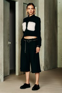 Ji Oh RTW Fall 2016