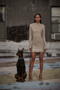 LaQuan Smith RTW Fall 2016