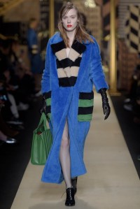 Max Mara RTW Fall 2016