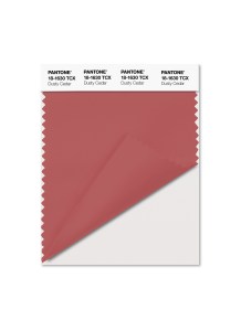 Pantone’s Top 10 Colors for Fall 2016