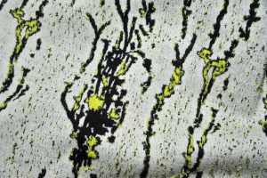 A jacquard print from Pura Seta Textiles.