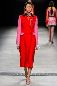 Piccione Piccione RTW Fall 2016