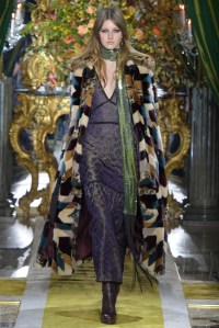 Roberto Cavalli RTW Fall 2016