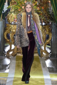 Roberto Cavalli RTW Fall 2016