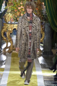 Roberto Cavalli RTW Fall 2016