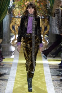 Roberto Cavalli RTW Fall 2016
