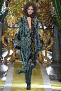 Roberto Cavalli RTW Fall 2016