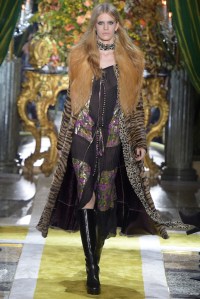 Roberto Cavalli RTW Fall 2016