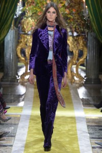 Roberto Cavalli RTW Fall 2016
