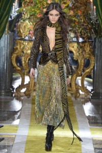 Roberto Cavalli RTW Fall 2016