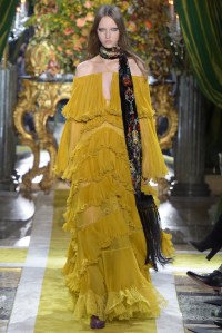 Roberto Cavalli RTW Fall 2016