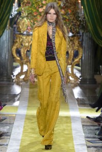 Roberto Cavalli RTW Fall 2016