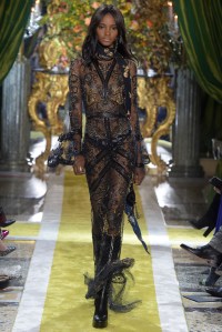 Roberto Cavalli RTW Fall 2016