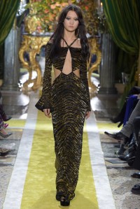 Roberto Cavalli RTW Fall 2016