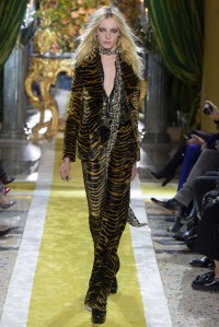Roberto Cavalli RTW Fall 2016