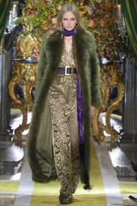 Roberto Cavalli RTW Fall 2016