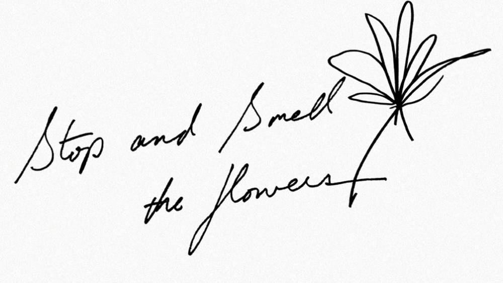The 3.1 Phillip Lim 10th anniversary campaign logo