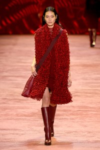 Akris RTW Fall 2016