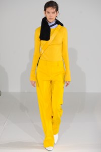 Cédric Charlier RTW Fall 2016