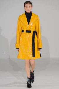 Cédric Charlier RTW Fall 2016