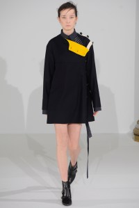 Cédric Charlier RTW Fall 2016