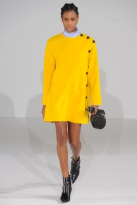 Cédric Charlier RTW Fall 2016