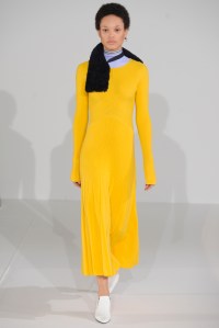 Cédric Charlier RTW Fall 2016