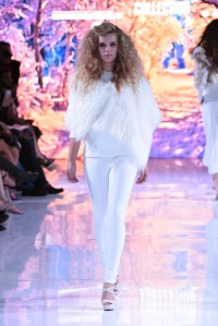 Dena Burton RTW Fall 2016