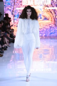 Dena Burton RTW Fall 2016