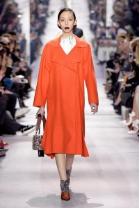 Christian Dior RTW Fall 2016