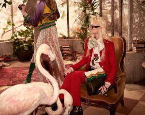 The Gucci Pre-Fall 2016 Advertising Campaign