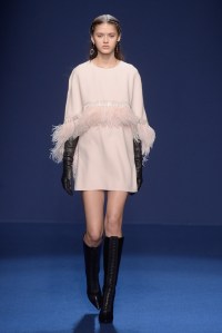 Andrew GN RTW Fall 2016