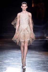 Iris Van Herpen RTW Fall 2016