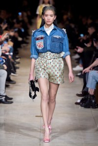 Miu Miu RTW Fall 2016