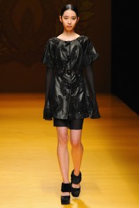 Nguyen Cong Tri RTW Fall 2016