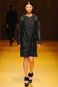 Nguyen Cong Tri RTW Fall 2016