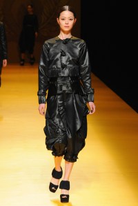 Nguyen Cong Tri RTW Fall 2016