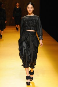 Nguyen Cong Tri RTW Fall 2016