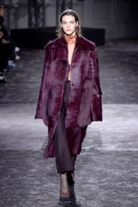 Nina Ricci RTW Fall 2016