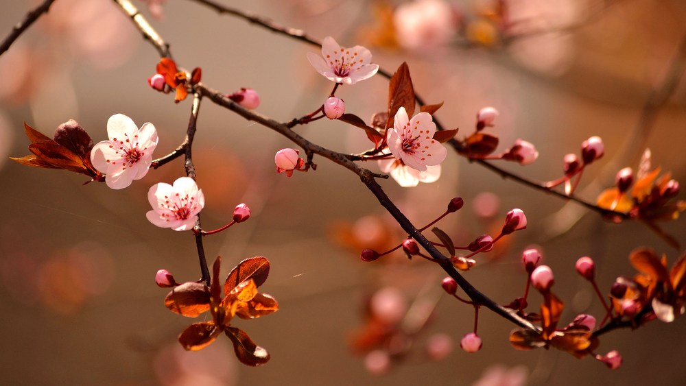 Spring is in the Air as Warm Temps is Expected to Drive Retail Traffic