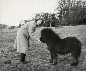 Duchess of Devonshire's Sotheby's sale