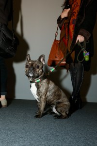 At the Armory Show.