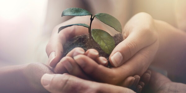 What Brands Are Doing Improve Eco-Friendly Practices