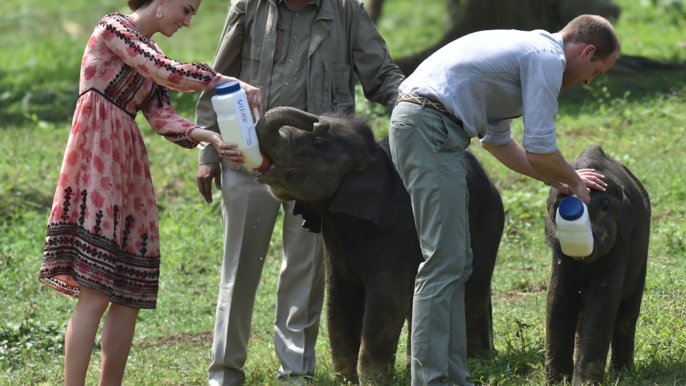 Duke Duchess of Cambridge Royal Tour India Bhutan